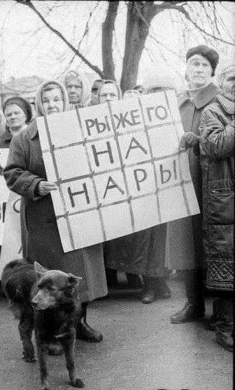 У нас такие лес валят...