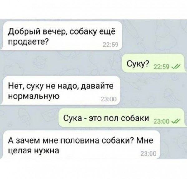 Весёлый полтишок 26.09