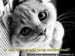 Почему столько разводов? Ответ только один и он вам не понравится
