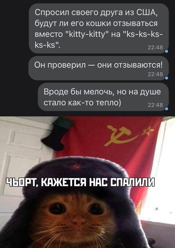 Прикольные и просто красивые картинки 10.11.2021