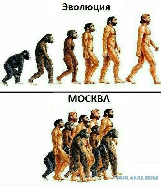 Подборка с сайта знакомств