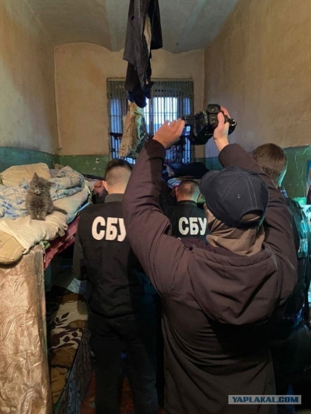 Так себе картинки 17.12.2021