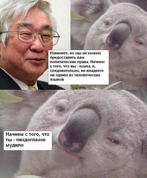 Весёлый полтишок 10.01