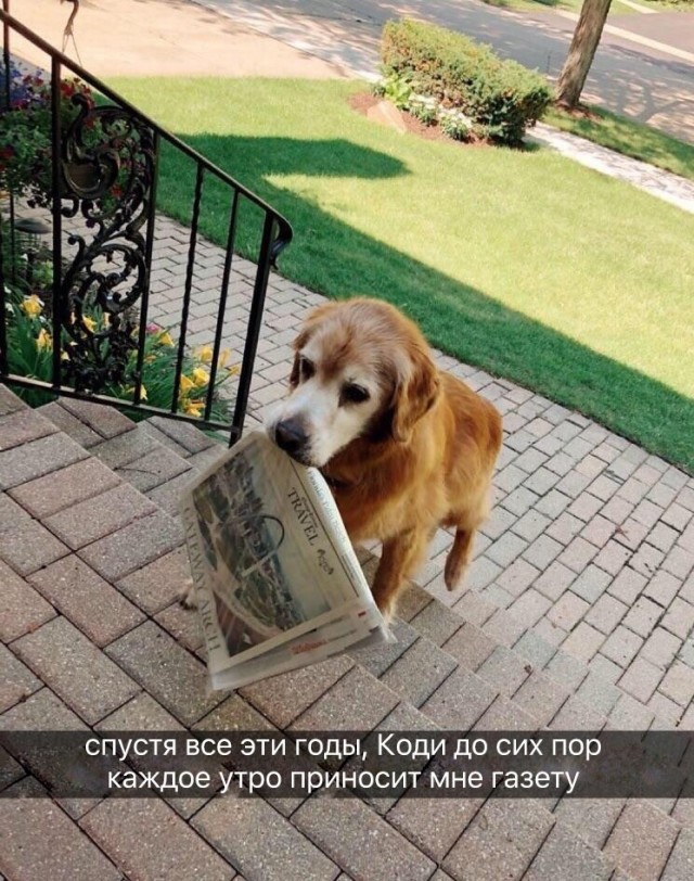 Так себе картинки 04.04.22
