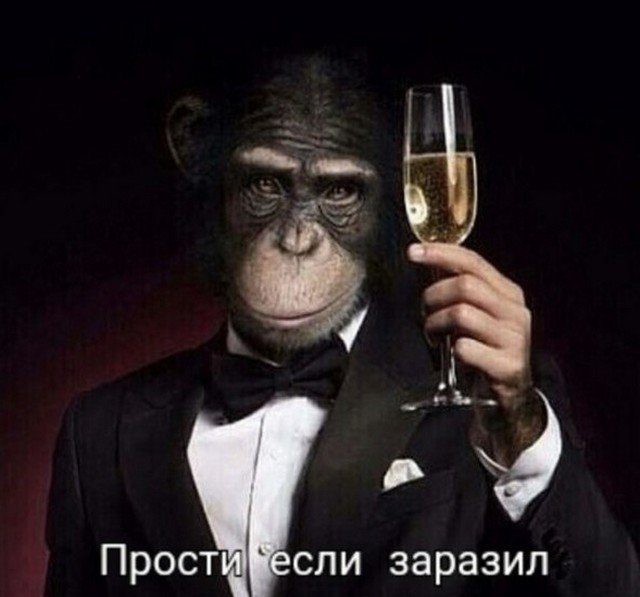Пандемия. Коронавирус и съехавшие крыши. Россия и мир. Часть 35