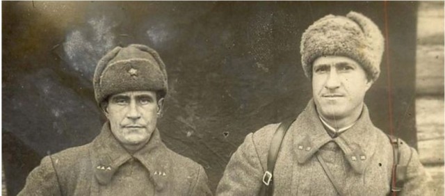 Котьего полку прибыло