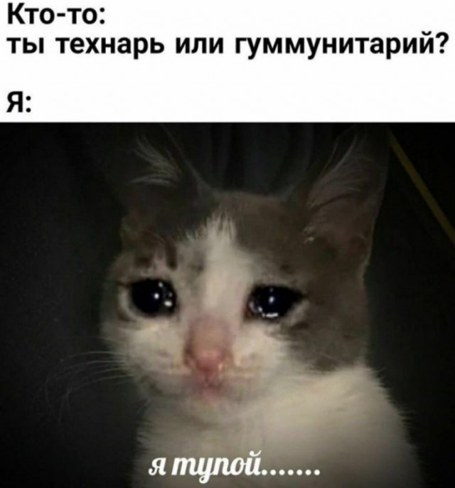 История любви Гаечки и Вжика, секрет раскрыт!