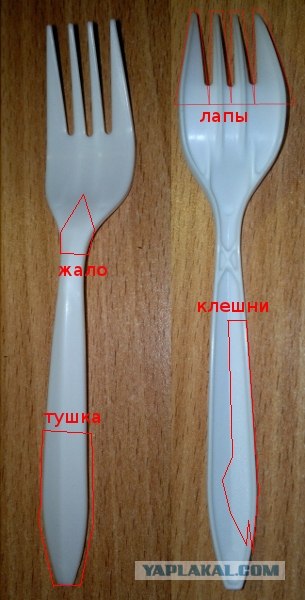 Одноразовая посуда?