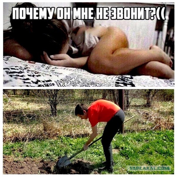 Юмор в картинках и без