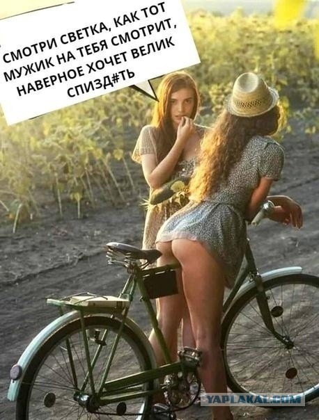 Весёлый полтишок 26.12.2022