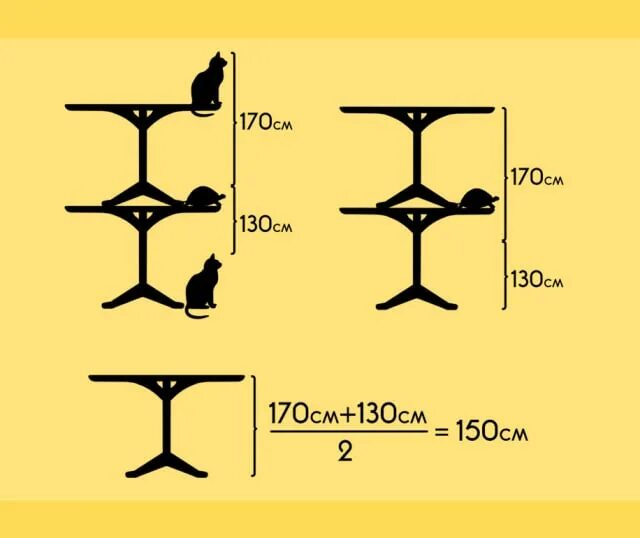 Задача какова высота стола с кошкой и черепахой