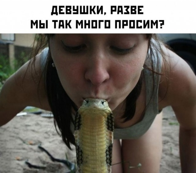 Всем хороших выходных - картинки, мемы и т.п.