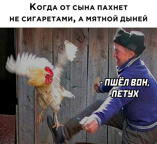 Немного картинок для настроения - 151