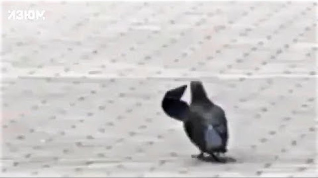 Утро в Крыму