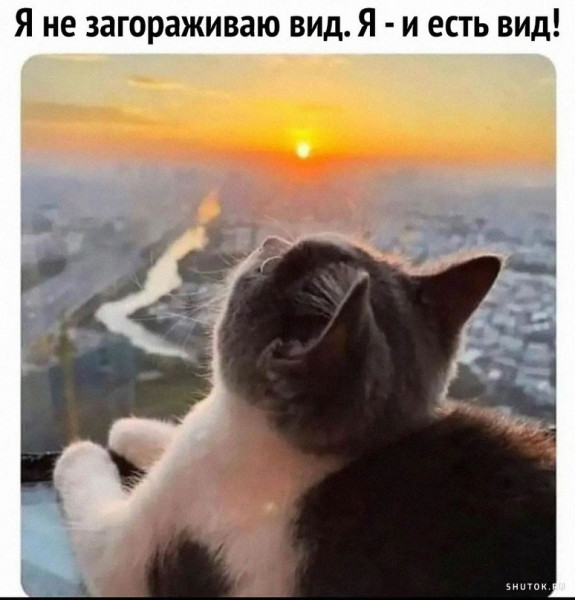 Весёлый полтишок 19.07.23