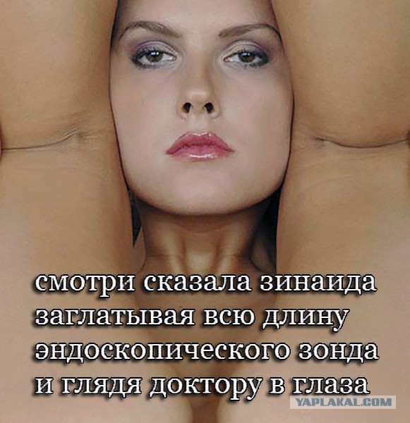 Нуштош 08.11.2023
