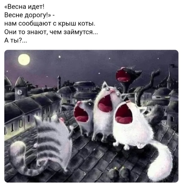 Всего понемногу. От 04.03.24