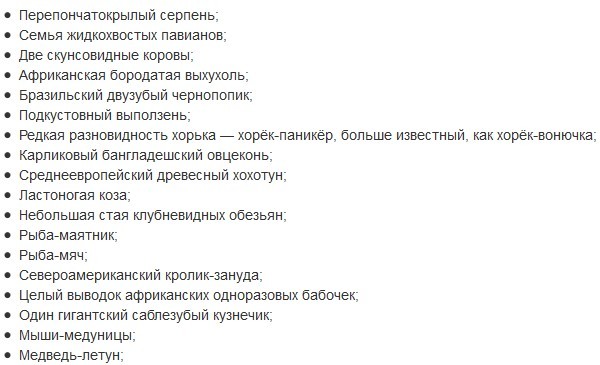Топ-10 редких животных, которых уже очень трудно найти