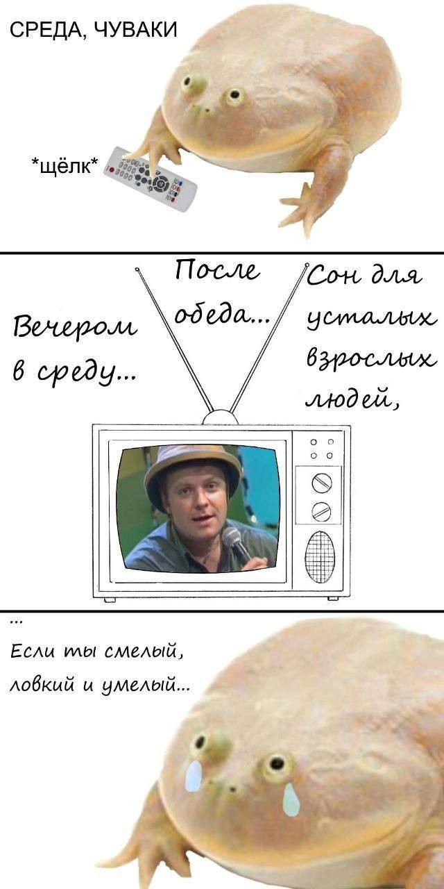Нуштош 19.09.2024