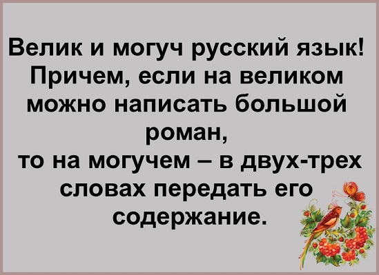 Очередь за забором