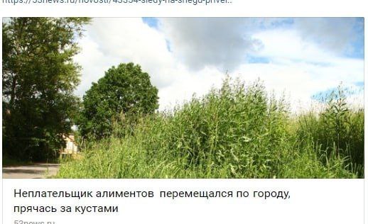 Жительница Химок отсудила у бывшего мужа алименты — аргументами стали фотографии его новой жены в соцсетях