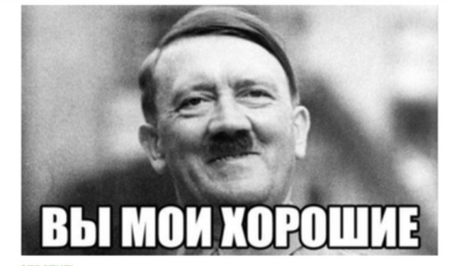Шершень обыкновенный