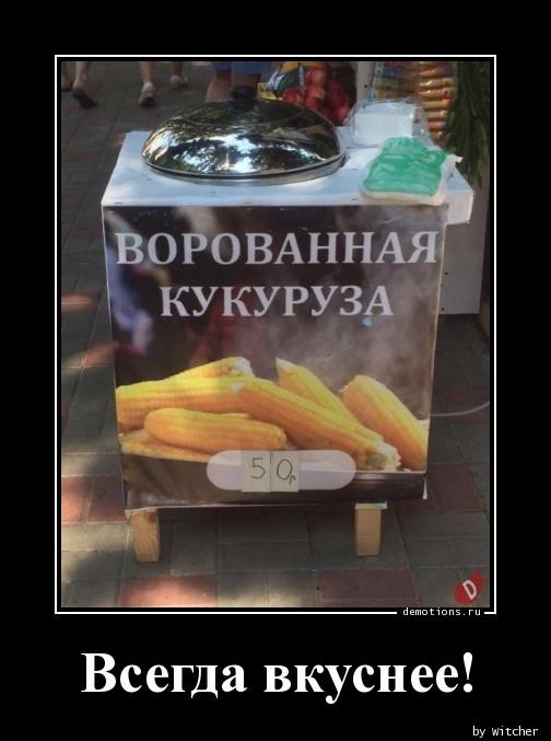 Картинки для деградации 36 (разной степени свежести)