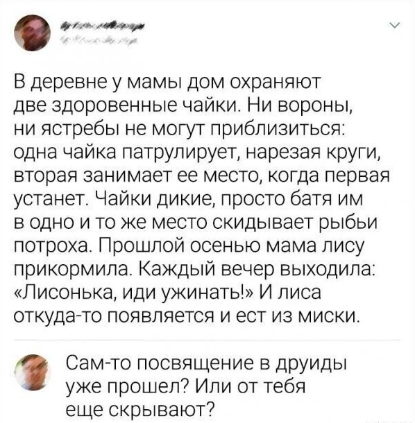 Так себе картинки 29.09.25