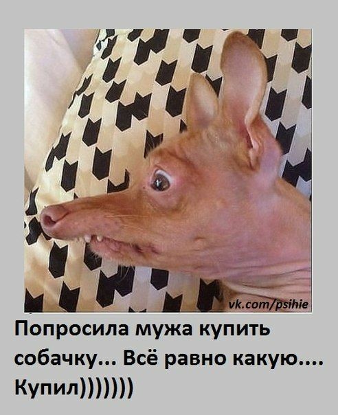 Куча мала 3
