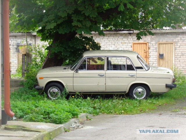 Техас готов к Хэллоуину