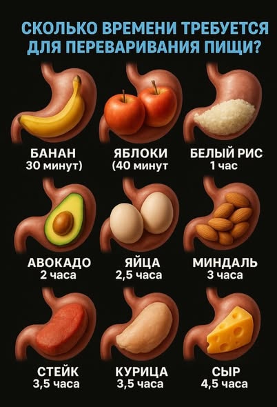 Вторник . Немного картинок