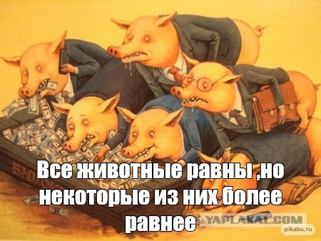 Судьи недовольны неразборчивостью дорожных камер