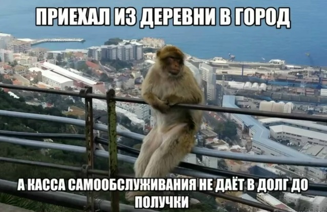 Назовете слово целиком?
