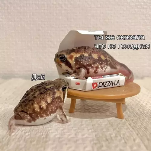 Картиночки, баянчики 09 марта