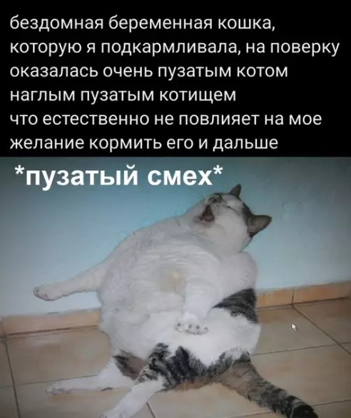 Картиночки, баянчики 28 марта