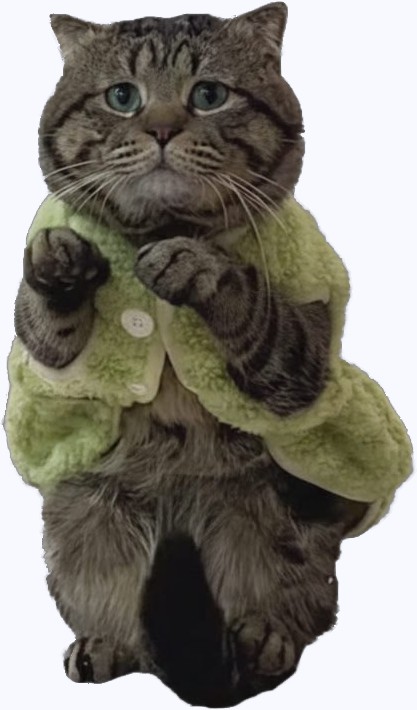 Фотожаба: Грустный котик