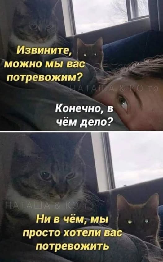 Картинки на среду