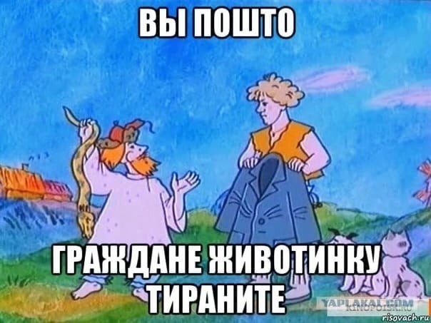 Легальная "крякалка" на любое авто.