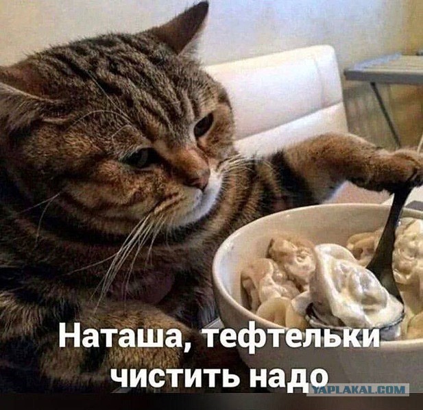 Веселое настроение в картинках 16.08.26