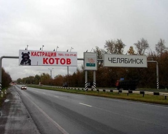 Винни Джонс: Крепкие русские