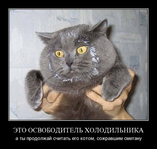 Унываторы (19 фото)