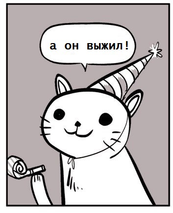 Кошка попала под поезд на глазах у ребенка