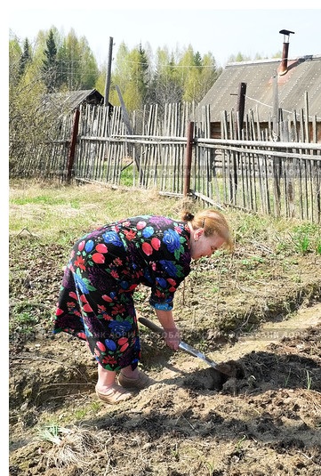 Тёплые летние деньки