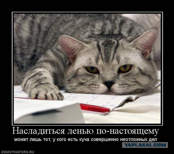 Что такое лень