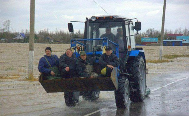Весёлые картинки