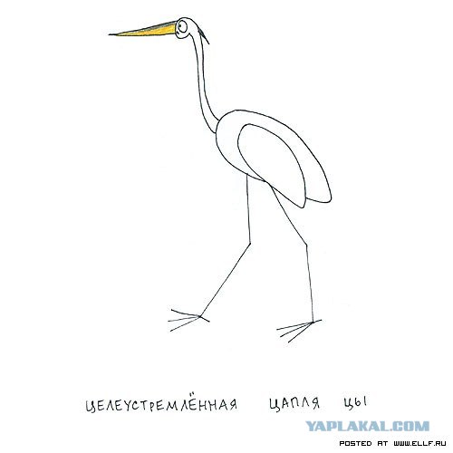 Рисованные животные дурачатся