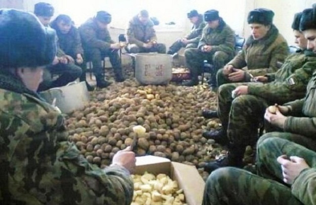 Жена заставляет чистить картошку