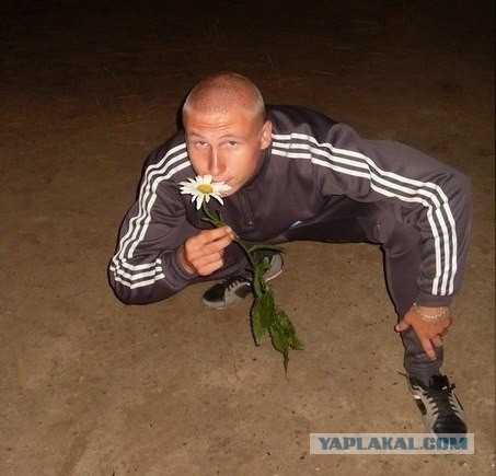 Весёлые картинки