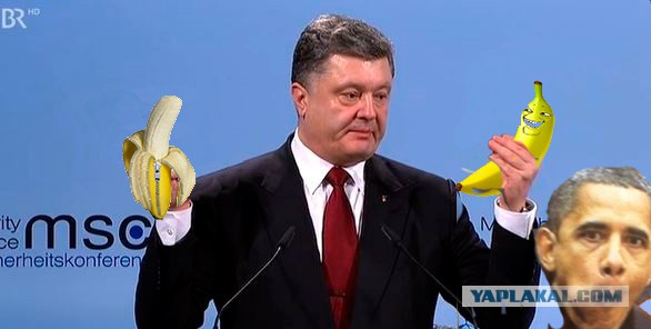 Что еще предложит Петя?
