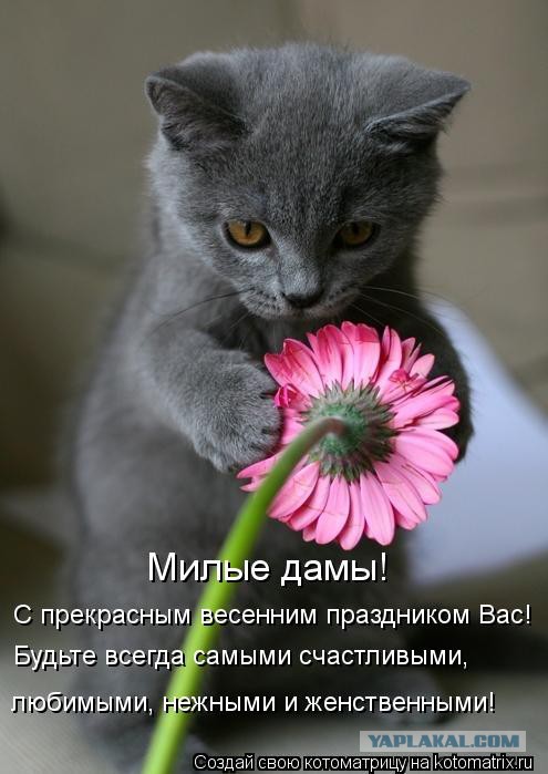 С международным вас женским днём.....